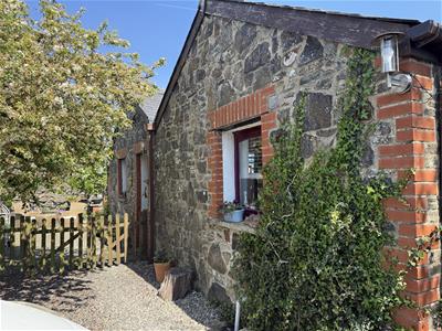 Picture 29